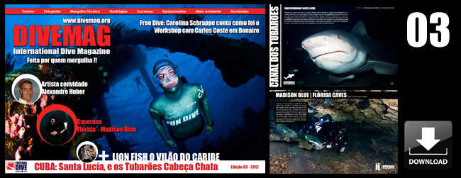 Open publication – Free publishing – More buceo