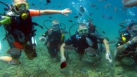 Antalya, sualtı zenginliği sayesinde dalış tutkunlarının gözdesi. Geçen yıl 390 bin dalışa ev sahipliği yapan turizm kenti Antalya’nın 650 kilometrelik eşsiz kıyılarında bu sezon 450 bin dalış yapılması hedefleniyor. Antalya, sualtı zenginliği sayesinde dalış tutkunlarının da gözdesi oldu. Kaş, Kemer, […]