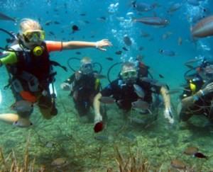 Antalya, sualtı zenginliği sayesinde dalış tutkunlarının gözdesi. Geçen yıl 390
