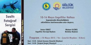 DESSAT Değirmendere Sualtı Topluluğu tarafından uzunca bir süredir üzerinde çalışılan