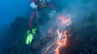 This daredevil diver is working himself up into a right lava – by trying to mould red hot 1,000C molten rock with his own hands. Bud ‘the Lava Man’ Turpin is pictured here descending 130ft to the lava tube of […]