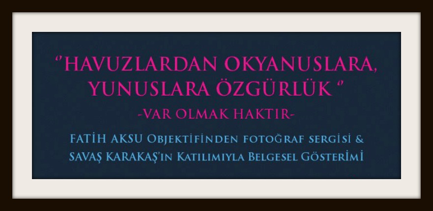 HAYTAP Hayvan Hakları Federasyonu ve Türler Arası Dayanışma Platformu tarafından