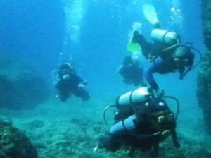 Ege Turistik İşletmeler ve Konaklamalar Birliği (ETİK) Başkan Yardımcısı ve