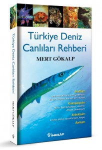 Mert Gökalp 1978 yılında Ankara doğumluyum. Lise öğrenimimi Ankara Atatürk