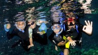 The older and more independent children become, the easier it gets to go on a dive trip with them. Even long flights can be fun as being on a plane itself is a great adventure for most kids. My children […]