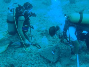 Kemer’deki farklılıkları, turizm çeşitliliklerini ve Kemer’in güzelliklerini tanıtmak amacıyla çalışmalar