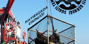 Bir süredir ara verilen Rutin STH Etkinlikleri 14 Ekim 2012