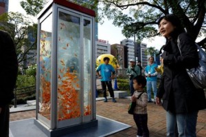 In many cities, payphones are rapidly disappearing from the streets,