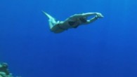 For the happy days in Bozburun, I thank my dearest friends Sahika & Edhem for embracing me with such a gift of a freedance in blue. Sahika recently just broke 2 world records! check her out & support her, I […]