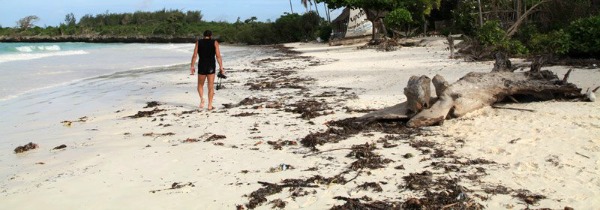 Her sabah olduğu gibi erkenden kalkıp kumsaldaki yerini almıştı. Daha