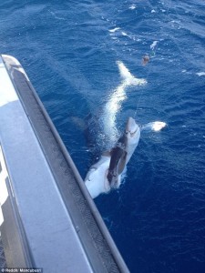 Being hooked by a fisherman is probably up there with
