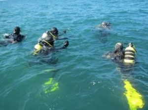 Zonguldak’ın Kdz. Ereğli ilçesi Belediyesi tarafından 2010 yılında kurulan Zodyak