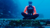 Yasemin Dalkılıç Yaşayan Efsane Sylvia Earle’ün Konuğu Oldu. ‘Enerjini Doğru Kullan’ sloganıyla yola çıkan dünya serbest dalış rekortmeni Yasemin Dalkılıç ‘DÜNYANIN İNANILMAZ DALIŞLARI’ projesiyle günümüzün Cousteau’su dünyanın en ünlü sualtı araştırmacısı Sylvia Earle’ün dikkatini çekti. Time dergisi tarafından “Gezegenin Kahramanı” […]