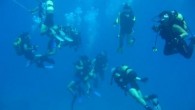 Didim’de Turizm amaçlı sportif faaliyet parkur alanları belirlendi. Bu kapsamda Su üstünde 15, su altında (dalış) 9 yer belirlendi. Didim’de Turizm amaçlı sportif faaliyet parkur alanları belirlendi. Turizm Amaçlı sportif faaliyet yönetmeliği kapsamında 30-31 Ocak 2013 tarihlerinde Aydın’da toplanan Turizm […]
