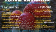 Sirti lacivert hamsilerin ve misir ekmeginin zaferi icin KARADENIZ FORUMDA 2-3 Mart 2013 Karadeniz isyandaydi, “Bu sese kulak verin” diyerek yola ciktik… Karadeniz’de yasami yok eden sozde enerji ve kalkinma projeleri, dogayi, kulturleri, yasam alanlarini tehdit etmeyi; karsisinda da Karadeniz […]