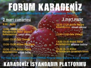 Sirti lacivert hamsilerin ve misir ekmeginin zaferi icin KARADENIZ FORUMDA