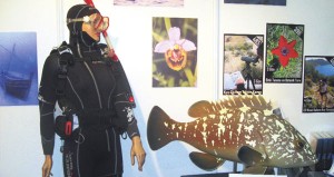 CNR Expo-İstanbul Fuar Merkezi’nde düzenlenen MEDEX İstanbul 2013 Dalış, Balıkçılık