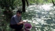 Olta Balıkçılığı Federasyonu (OBAF) Başkanı İsmail Atalay ve Yönetim Kurulu üyesi Ali Can Dağlıgil’in de katıldığı göle balık bırakma etkinliğinde, Azer Su Ürünleri Firması Yönetim Kurulu Başkanı Ahmet Abdullahoğlu tarafından temin edilen 6 bin adet ala balık yavrusu balıkçılar tarafından […]