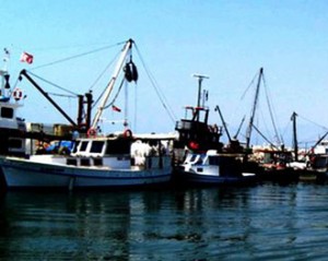 Bir ihbarı değerlendiren Keşan İlçe Jandarma Komutanlığı ekipleri, Enez Sahil