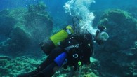 Türkiye’de sualtı arkeoloji alanında akademik eğitim veren tek kurum olan Selçuk Üniversitesi, UNESCO ile birlikte ‘Dünya Akademik Sualtı Arkeolojisi Zirvesi’ne ev sahipliği yapacak.Dünya’da sualtı alanında eğitim vermekte olan üniversiteleri 16-19 Mayıs 2013 tarihleri arasında Kemer’de bir araya getirecek zirve, uluslararası […]