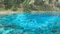 Jiuzhaigou, ‘dokuz köyün vadisi’ anlamına geliyor. Bir zamanlar bu vadide dokuz Tibet köyü varmış. Min Shan Dağları’nın 2000 metreden 4800 metreye kadar yükselen tepelerinde, Shuzheng, Rize and Zechawa vadilerinin oluşturduğu Y biçimli, 30 kilometre uzunluktaki bu vadide oldukça ender rastlanan […]