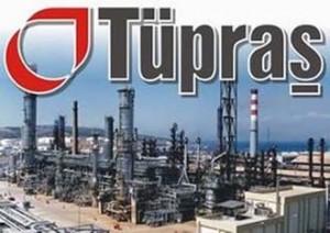 Tüpraş Genel Müdürü Yavuz Erkut, bir İspanyol şirketi tarafından yürütülen