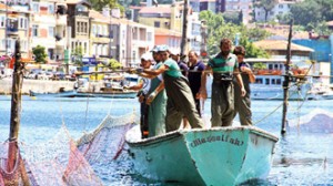 40 yıl öncesine kadarİstanbul’da 55 tane olan dalyandan şimdilerdesadece3 tane
