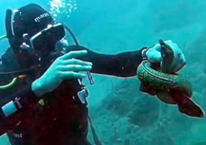 Muğla Marmaris’te dalan Samsun Doğa Sporları Kulübü dalgıçları, büyük risk