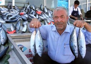 Marmara Denizi ve Karadeniz kıyı kesimlerinde balık av mevsiminin başlamasına