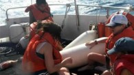 Muğla’nın Bodrum ilçesi ile Yunanistan’ın İstanköy Adası arasında batan yelkenli teknedeki 3 Suriyeli Sahil Güvenlik ekipleri tarafından son anda kurtarıldı. Suriyelilerin deniz yoluyla yurt dışına çıkmaya çalıştıkları öğrenildi. Bodrum Sahil Güvenlik ekipleri, Bodrum ile İstanköy Adası arasında denizde yelkenli bir […]