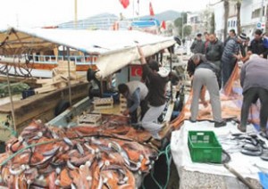 Su ürünleri kaynaklarının korunması amacıyla balıkların genel üreme dönemi göz