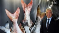 Deniz Ticaret Odası (DTO) İzmir Şubesi Meclis Üyesi ve Akuvatur Su Ürünleri Tic. San. A.Ş. Yönetim Kurulu Başkanı Haluk Tuncer, su ürünleri yetiştiriciliğinin 2012 yılında, bir önceki yıla oranla yüzde 12,51 artarak 212 bin 410 tona çıktığını söyledi. Yetiştiriciliğin artmaması […]