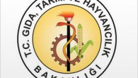 Gıda, Tarım ve Hayvancılık Bakanlığı, “Su ürünleri ithalatının, son iki yılda arttığına dair haberler gerçeği yansıtmıyor” şeklinde açıklama yaptı. Açıklama, Gıda, Tarım ve Hayvancılık Bakanlığı’ndan geldi.Yapılan yazılı açıklamada, Türkiye’nin su ürünleri ihracatı artarken, ithalatının azaldığı ifade edildi. Son 2 yıllık […]