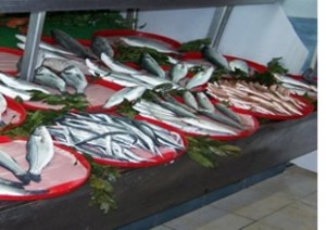 Türkiye genelinde 1 Eylül’de ‘Vira Bismillah’ diyen balıkçılar, deniz suyunun