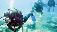 Su altı zneginlikleri ve eşsiz doğası ile milyonların hayran olduğu Adrasan koyu, her yıl yerli yabancı binlerce turisti ağırlıyor. Su altı meraklıların değişmez adresini de Adrasan oluşturuyor. Antalya’nın Kumluca İlçesi’ndeki tatil merkezleri Adrasan ve Olimpos, sualtı zenginlikleriyle dalış tutkunlarının vazgeçilmezi. […]