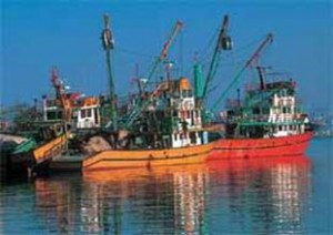 Sürdürülebilir Balıkçılık ve Çevre Araştırmaları Derneği (SÜBAÇAD) Kurucu Başkanı Yüksek
