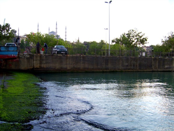 DIGITAL CAMERA