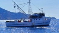 Akdeniz Koruma Derneği (AKD) tarafından, Gökova Özel Çevre Koruma (ÖÇK) Bölgesi’nde işaret ve tabela çalışması yapıldı. Uyarı amaçlı işaret direkleri ve bilgilendirici tabelalar, balıkçılık faaliyetine kapalı alanların görünürlüğünün arttırılması ve sınırlarının daha iyi anlaşılması için 16 noktaya yerleştirildi. Çalışma, Çevre […]