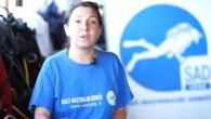 Sualti Kultur Mirasi Projesi 2013 Sanal Muze projesinin saha calismalari gectigimiz hafta Kas’ta yapilan dalislarla tamamlandi. 6 yıldır devam eden ve gönüllülerin ve yöre halkının desteğiyle bugünlere gelen projenin hakettiği yere varmasına az kaldı. 3D Modellerimiz hazirlanmakta! Cok yakinda internet […]