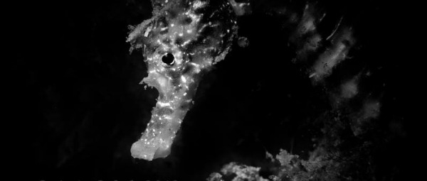 Merhaba, Ne kadar uzun zaman oldu yazmayalı, bu aralar çok