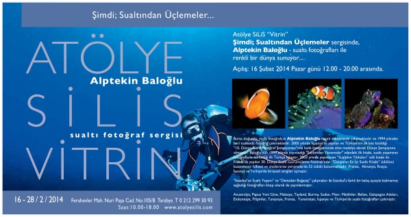   Sevgili dostlarım, “Sualtından Üçlemeler” adındaki fotoğraf sergimin hazırlıkları bitmek