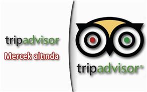 TurizmGüncel Online mecrada şirketlerin itibarının korunması alanında faaliyet gösteren Kwikchex’in