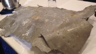 WASHINGTON – Amelia Earhart’s plane disappeared in 1937 and it remains one of the world’s enduring mysteries. Now, explorers are excited about new evidence that could confirm that artifacts found on a remote South Pacific island are from the wreckage […]