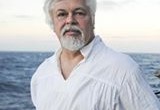 Source: Paul Watson Facebook Timeline Paul Watson, the controversial founder of the Sea Shepherd Conservation Society and star of the popular reality television show Whale Wars of the Animal Planet cable network, recently left an interesting status update on his […]