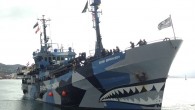 The anti-whaling group Sea Shepherd is vowing to keep the pressure on Japan’s whaling fleet, as the Antarctic summer draws to a close. Its vessel, the Bob Barker, has docked in Wellington after spending more than three months trying to […]