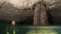 Deep underwater in southeast Mexico there is a sign which warns divers that anyone who swims through the underwater caves could face death. But that did not faze underwater photographer Lisa Collins, from Essex, England, who threw herself into the […]