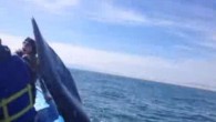 O an turistlerden birinin kamerasına kare kare yansıdı. Görüntülerde, Kanadalı turist grubunu taşıyan teknenin etrafından dolaşan balinalardan birinin kuyruğunu yüzeye çıkardıktan saniyeler sonra bir anda çırparak teknedeki turistlerden Chelsea Crawford’un başına vurdu. Genç kadın dev balinanın kuyruk darbesinden dolayı herhangi […]
