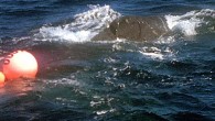 HONOLULU — Hawaii officials have been looking for a humpback whale that appears to be caught in fishing gear and is dragging red buoys. Fishing line seems to be wrapped across the whale’s body and tail, Ed Lyman, the large […]