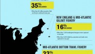 By Richard Salit rsalit@providencejournal.com So much seafood is inadvertently caught and tossed overboard for dead that the persistent practice is a serious threat to efforts to restore depleted U.S. fish populations, including numerous species off Rhode Island, according to a […]