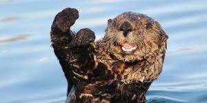 This restaurant otter lock their doors next time. The patrons